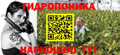 прущие грибы Первоуральск