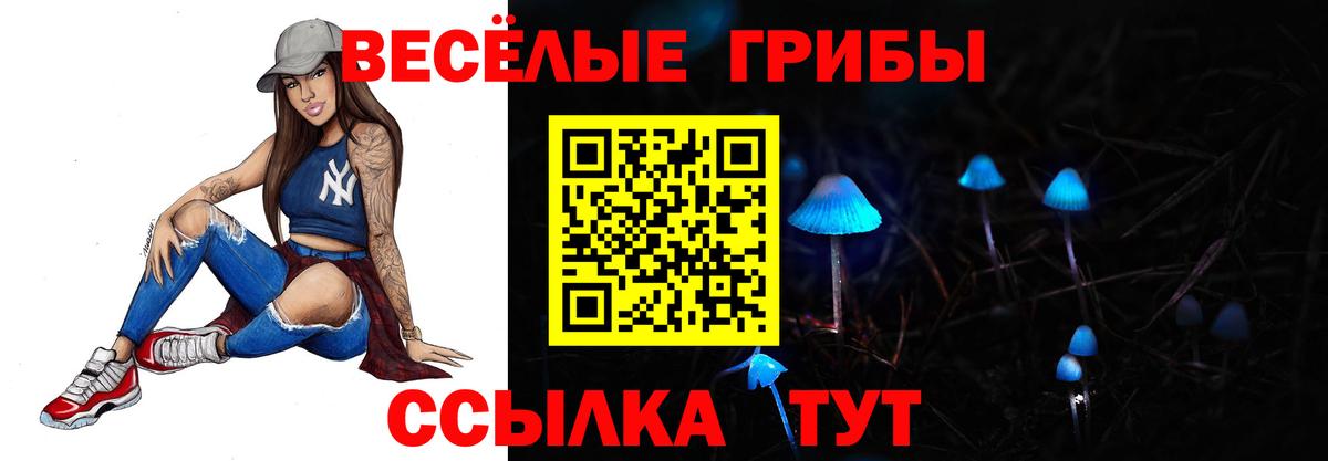 Пугачёв  купить закладку  Вход с VPN  Псилоцибиновые грибы мухоморы 